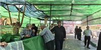 فعالیت 111 موکب در مسیر برگشت زائران به کرمانشاه