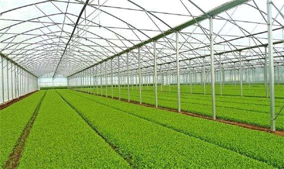 مینودشت صاحب شهرک گلخانه‌ای می‌شود
