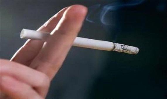 36.5 درصد معتادان کردستان شغل دولتی دارند