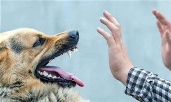 سگ نگهبان صاحبش را کشت
