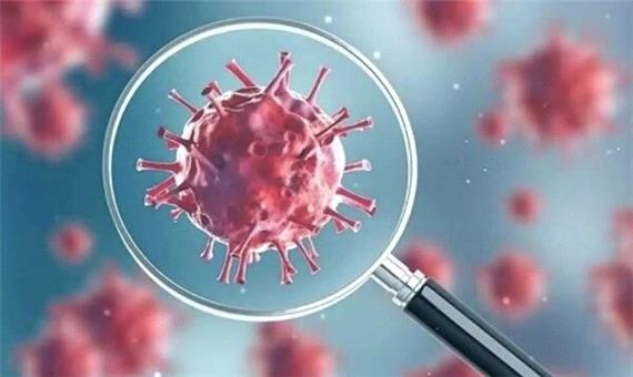 بیمار جدید کرونایی در کرمانشاه شناسایی نشد