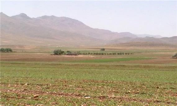 بیش‌ از چهار هزار هکتار از مزارع کشاورزی خاش به زیر کشت پاییزه رفت