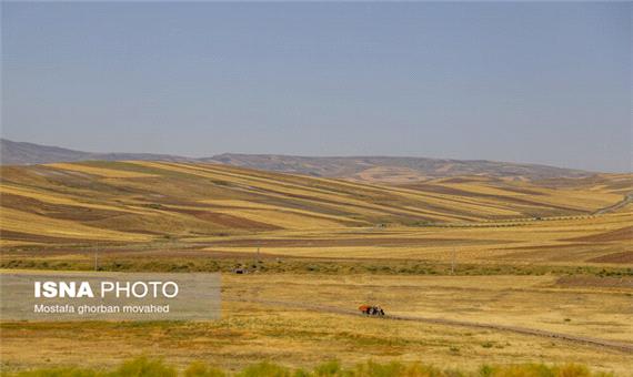 برآورد سطح زیرکشت 3 محصول استراتژیک با فناوری فضایی