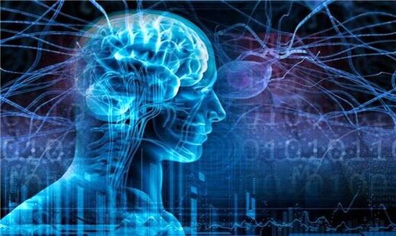 راهی برای افزایش 3 برابری قدرت یادگیری مغز
