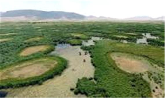 هشیلان جان گرفت