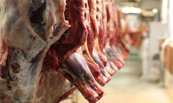گوشت قرمز در کرمانشاه ارزان می‌شود