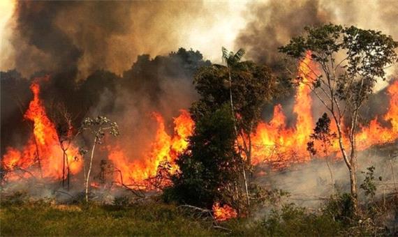 امسال بیش از 2 هزار هکتار از مراتع طبیعی کردستان در آتش سوخت