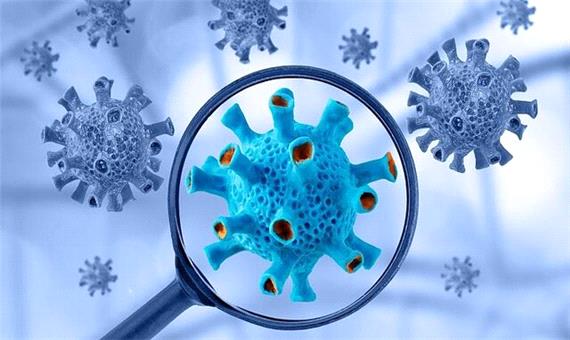 آخرین تلاش سازمان جهانی بهداشت برای کشف منشاء ویروس کرونا؟