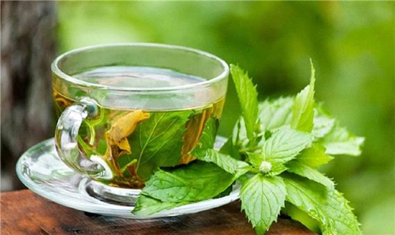 چای سبز و نظر جدید دانشمندان درباره فواید آن