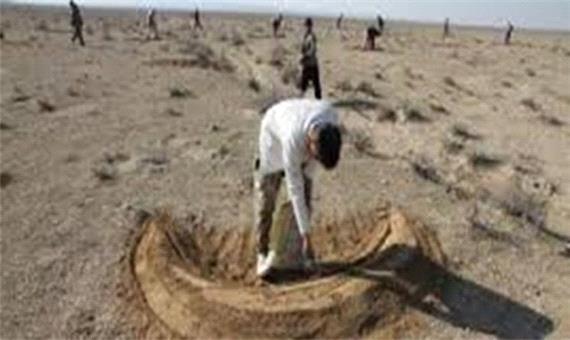 امید به احیای جنگل‌های زاگرس/ 656 هکتار در کرمانشاه بذرکاری می‌شود