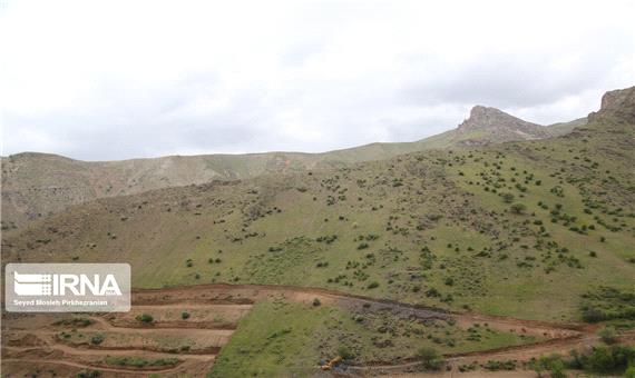 پویش مردمی احیا جنگل های زاگرس در کردستان اجرا می‌شود