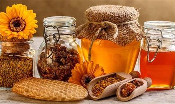 تولید بیش از 1800 تن عسل در کردستان