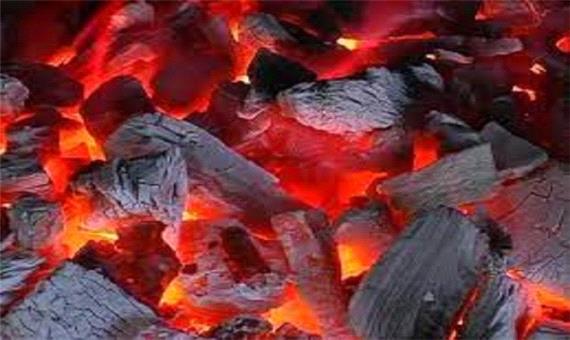 یک کارگاه غیر مجاز زغال در قصرشیرین کشف شد