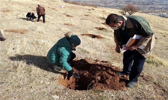 پویش مردمی بذرکاری برای احیای جنگل‌های زاگرس در کردستان آغاز شد