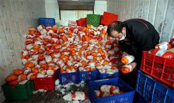 عرضه 16 میلیون قطعه مرغ از کشتارگاه‌های کرمانشاه
