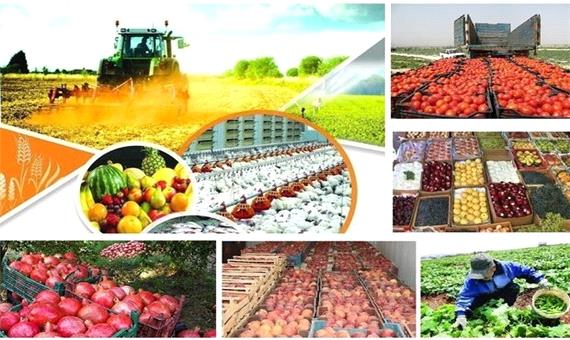 تجاری سازی بخش کشاورزی کردستان از اولویت های دولت سیزدهم است