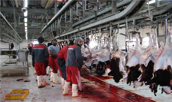 بیش از 32 هزار تن گوشت قرمز در کردستان تولید شد