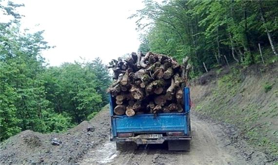 قاچاق چوب بلوط و بید در کردستان؛ سوداگران به جان جنگل‌های زاگرس افتاده‌اند