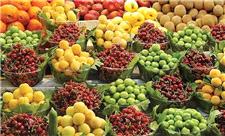 روزانه 3130 تن محصولات کشاورزی از گمرکات کردستان صادر می‌شود