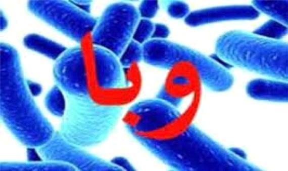 افزایش تعداد مبتلایان به بیماری وبا در کردستان به 25 نفر