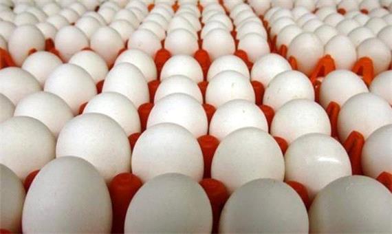 کشف 129 هزار عدد تخم مرغ قاچاق در کنگاور