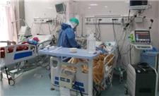 تاکنون موردی از بیماری وبا در استان اصفهان شناسایی نشده است