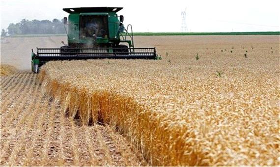 واریز بهای گندم خریداری شده از کشاورزان کردستان آغاز شد