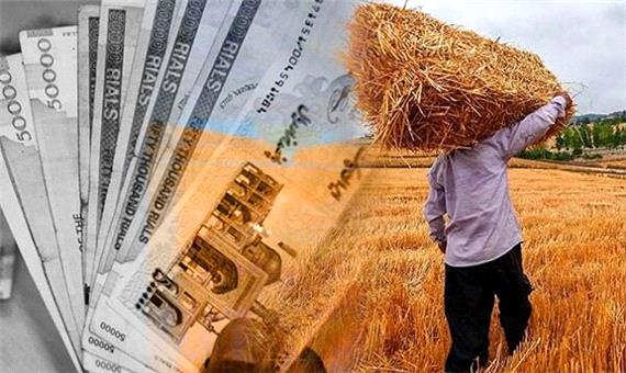 افزایش 56درصدی میزان خرید تضمینی گندم در کردستان