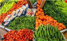 استان کرمانشاه می تواند به لحاظ محصولات باغی زراعی بازار خوبی در اوراسیا داشته باشد