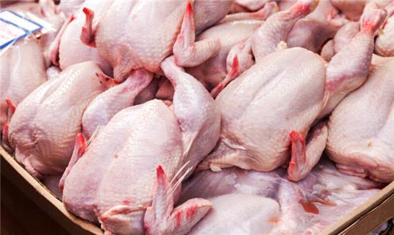 رشد 400 درصدی خرید و ذخیره‌سازی مازاد مرغ در قزوین