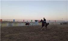 همایش منطقه ای «شو سواره» اسب کُرد در دیواندره برگزار شد