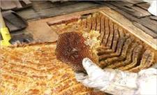 تولید بیش از 5870 تن عسل در استان کرمانشاه