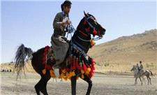 اسب کُرد به نام کرمانشاه در آستانه ثبت ملی