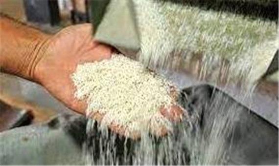 انبار احتکار برنج در شیراز لو رفت