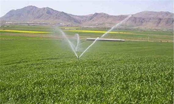 صادرات روزانه 1556 تن محصولات کشاورزی از کردستان