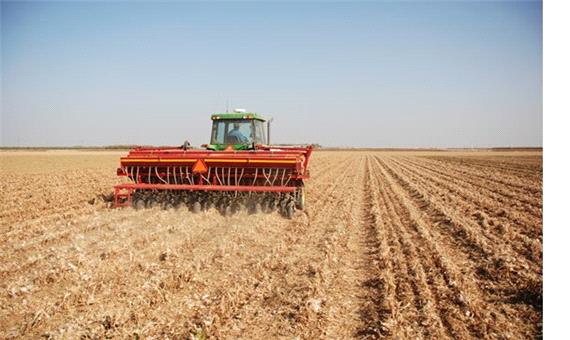 650 هزار هکتار از اراضی کشاورزی کردستان زیرکشت پاییزه رفت