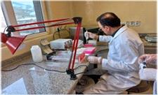 راه اندازی آزمایش تشخیص بیماری ویروسی آنگارا در کردستان