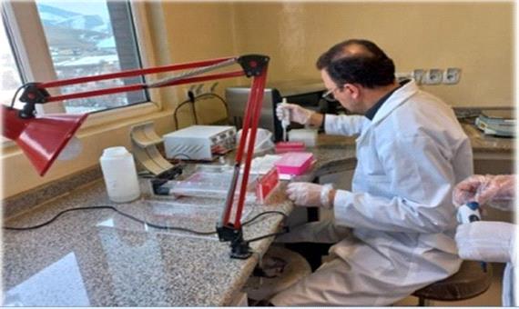 راه اندازی آزمایش تشخیص بیماری ویروسی آنگارا در کردستان