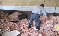 بیش از 16 تن گوشت مرغ فاسد در مهاباد معدوم شد