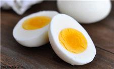 تخم مرغ بمب ویتامین و کاملترین پروتئین غذایی را دارد