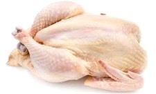 تولیدکنندگان مرغ هیچ نگرانی بابت اضافه تولید نداشته باشند