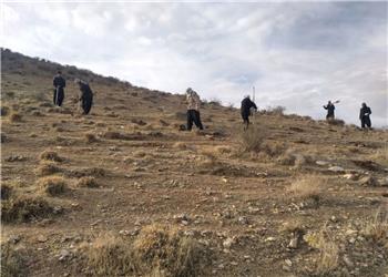 آغاز عملیات کپهکاری برای احیای مراتع اسلامآبادغرب