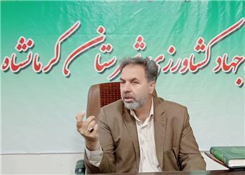 توسعه زعفران و اشتغال اولویت کشاورزی فیروزآباد است