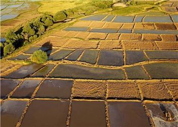 آشتاب: 450 پلاک در سامانه سحاک کرمانشاه تعیین تکلیف شد