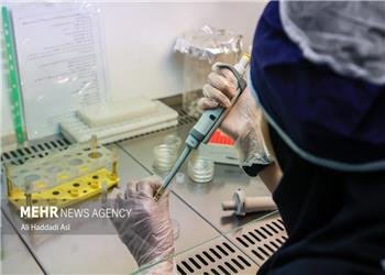 پوشش 100 درصدی شاخصهای بهداشتی در گیلانغرب