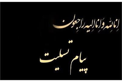 پیام تسلیت شریعتمداری به محمد رضوانی فر
