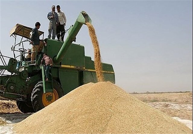 60 هزار میلیارد ریال گندم مازاد برنیاز از کشاورزان کردستانی خریداری شده است