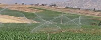 اجرای بهینه الگوی کشت در کردستان با تأکید بر استفاده بهینه از منابع آب