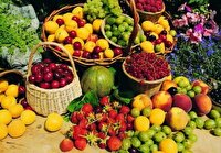 تولید سالانه ۵۰۰ هزار تن محصولات باغی در کردستان