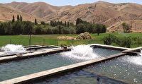 توسعه آبزی‌پروری در کردستان